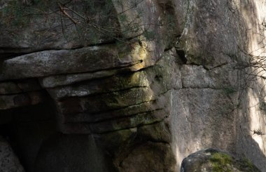 Kayalık bir ormanda, Fransa 'daki Fontainebleau ormanında doğal çeşitlilik.