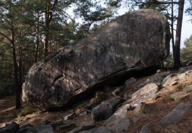 Kayalık bir ormanda, Fransa 'daki Fontainebleau ormanında doğal çeşitlilik.