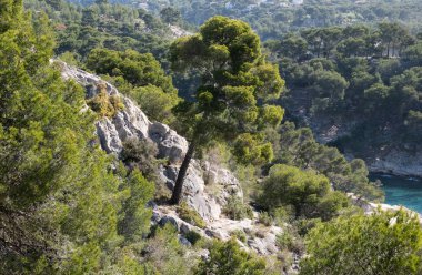 Calanques, Akdeniz kıyısı, Güney Fransa.