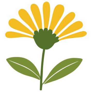 2D parlak sarı güneşli çiçek yaprakları ve yeşil yapraklar, neşeli bahar temalı çiçek kompozisyonları ve dekor için mükemmel..