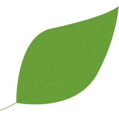 Düz tasarım 2d yeşil yaprak, eko projeleri için ideal, botanik elementler, ve basit doğal bileşimler.