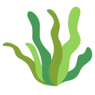 Akan şekilli 2d yeşil algler, su ekosistemleri, deniz yosunu görselleri veya deniz eğitim içeriği için idealdir..