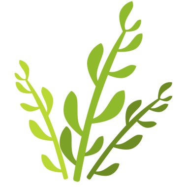 2D ince yapraklı hidrilla bitkisi, tatlı su bitkileri, bilim görselleri veya ekosistem çizimleri için harika..