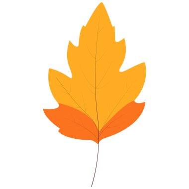 2d uzun huş yaprağı kırmızı kenarlı sarı tonda, sonbahar çizimleri, orman sahneleri veya mevsimsel grafikler için harika.