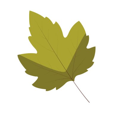 Klasik şekilli 2d kestane yaprağı, doğa grafikleri, orman sahneleri ya da botanik görseller için harika..