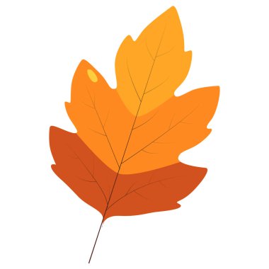 2d koyu turuncu akçaağaç yaprağı kalın şekil ve sonbahar çizimleri ve doğa koleksiyonları için mükemmel sonbahar tonları..