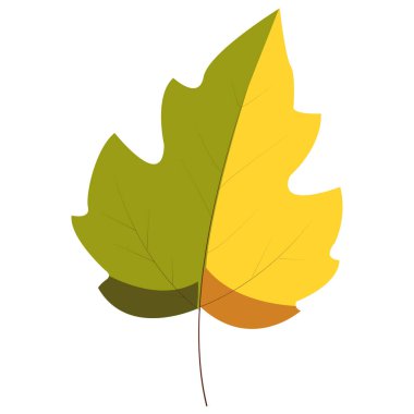 Yeşil gövdeli ve sarı uçlu 2d meşe yaprağı geçiş dönemi tasarımları veya orman dekorasyonları için ideal..