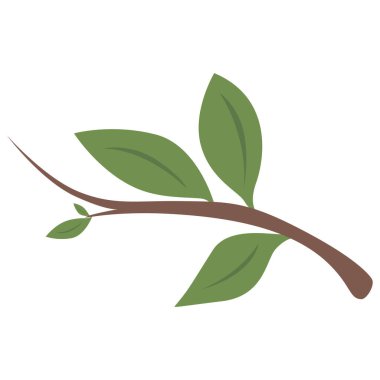 Yeşil yapraklı bir dalın 2D çizimi, doğa, çevre veya botanik temalar için mükemmel.