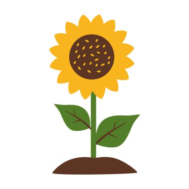 2d parlak sarı taç yaprakları ve yeşil saplı tamamen açmış bir ayçiçeğinin çizimi.