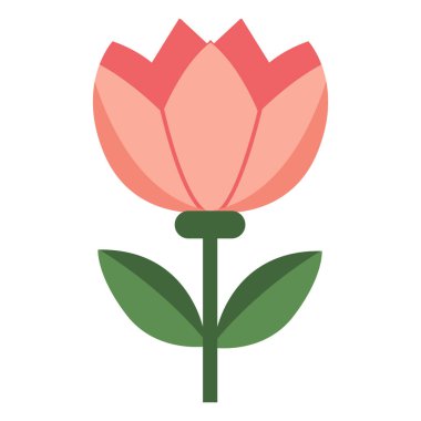 Şeftali renginde 2D çiçek, yumuşak ve narin. Kadınsı ya da ilkbahar görselleri için harika.