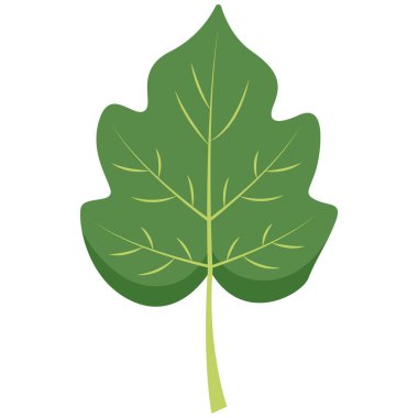 2D yaprak tasarımı ve gözyaşı damlası şekli. Organik formlu basit bir doğa temalı illüstrasyon..