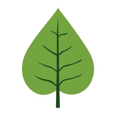 2D parlak yeşil bipinnatif yaprak ayrıntılı yapı, botanik projeleri ve eğitim çizimleri için mükemmel.