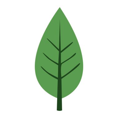 Keskin iğneye benzeyen, botanik çizimler ve minimalist doğa tasarımları için ideal 2D acicular bileşik yaprak..