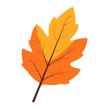 2d parlak turuncu akçaağaç yaprağı, mevsimsel grafikler, dekoratif baskılar ve doğa projeleri için klasik sonbahar sembolü..