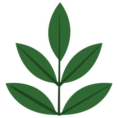 Çoklu broşürlü 2D bileşik yaprak, botanik çizelgeler, çevre dostu simgeler ve doğal tasarım projeleri için ideal..