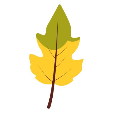 2d solmuş turuncu-sarı yaprak mevsimsel değişimi gösteriyor, sonbahar dekorasyonu, kırsal tasarımlar ve botanik projeleri için mükemmel..