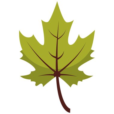 2D yeşil akçaağaç yaprağı bahar tazeliğini temsil ediyor, ekolojik tasarımlar ve doğadan esinlenilmiş grafikler için mükemmel..
