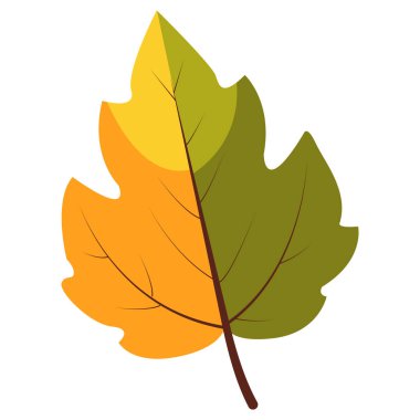 2d yarı yeşil yarı sarı yaprak renk değişikliğini gösteriyor, mevsimsel çizimler ve doğa projeleri için harika..