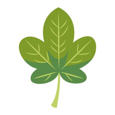 Sivri uçlu 2d yapraklı, botanik çizimler ve minimalist doğa sanatı için uygun..