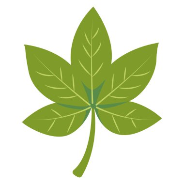 2D akçaağaç yaprağı, klasik sonbahar sembolü mevsimlik tasarımlar ve doğadan esinlenilmiş sanat eserleri için mükemmel..