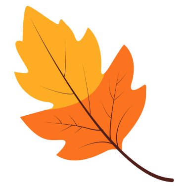 2d turuncu akçaağaç yaprağı, sarı uçlu, mevsimsel vardiyayı ve yaratıcı sanat eserleri için sonbahar zarafetini temsil ediyor..