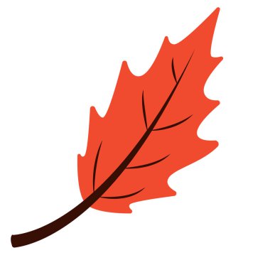 2d portakal kırmızısı akçaağaç yaprağı parlak sonbahar rengini sembolize eder, mevsimsel ve botanik sanatlar için mükemmeldir..