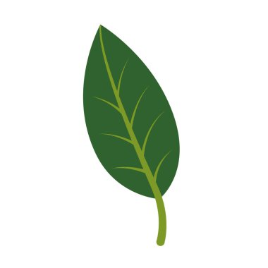 Primat venasyon içeren 2B yaprak tasarımı, ekolojik markalaşma, botanik görseller ve doğal yaşam tarzı grafikleri için uygun..