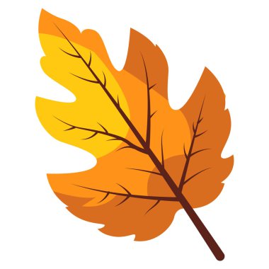 2d sarı-turuncu akçaağaç yaprağı mevsimsel değişimi sembolize ediyor, doğa çizimleri için harika..