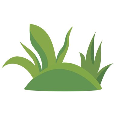 Taze yeşil lahanalı 2D alçak çalı. Bahçe aksanları ve genç bitki sahneleri için mükemmel..