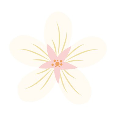 2D tek çiçek, parlak pastel efektli, bahar tasarımları ve yumuşak kadınsı grafikler için mükemmel..