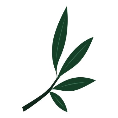 Birkaç yeşil yapraklı 2d yapraklı dal dalı, basit düz çizgi film bitki elemanı, şablonlar için dekoratif tasarım, eko tarzı, çerçeveler ve yumuşak arkaplanlar..