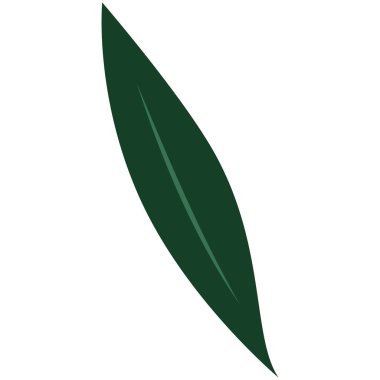2d long curved leaf design in minimal style, ideal for eco decoration, foliage background, garden art, tropical theme, and natural projects.