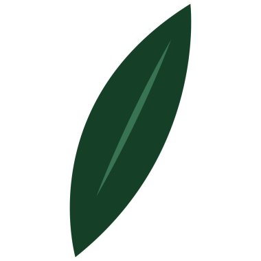 2d long curved leaf design in green style, suitable for foliage decoration, eco projects, garden theme, natural art, and creative backgrounds.
