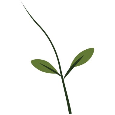 2d green plant stem with two leaves design in simple style, perfect for eco decoration, background, garden art, and creative natural projects.