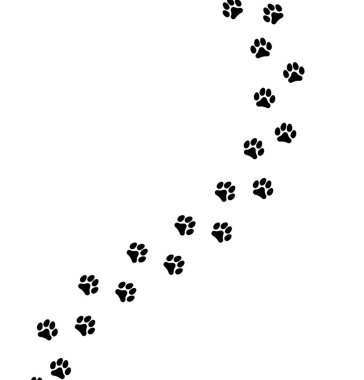 Kedi ve köpeğin pençe izleri.