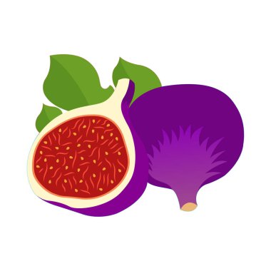 İncir Taze Yiyecek Vektörü Simgesi ve Grafik Tasarımı Çizimi