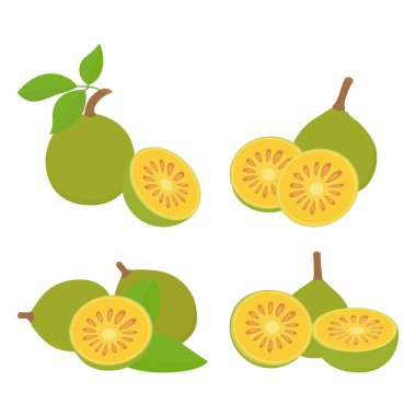 Bael Taze Gıda Vektörü Simgesi Tasarım İllüstrasyonu