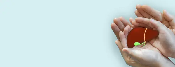 İnsan eli bakımı karaciğer tedavisi, karaciğer kanseri, kanser, karaciğer, bağış karaciğer, hastalık, bağış, Hepatit, siroz, Hepatit B virüsü, HBV, aşı, sigorta, hastane. Dünya Hepatit Günü