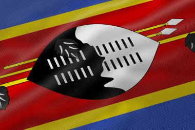 Ulusal sembolleri ve canlı renkleri gösteren Eswatini bayrağının ayrıntılı çizimi.