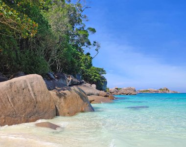 Büyük kayalar, yeşil ağaçlar, deniz manzarası, turkuaz deniz, mavi gökyüzü beyaz bulutlar, yaz günü.