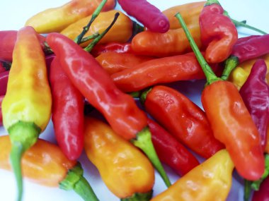 Çeşitli Renkli Biberler, Kırmızı, Sarı ve Turuncu Acı Biberler Beyaz Arkaplanda Birleştirildi