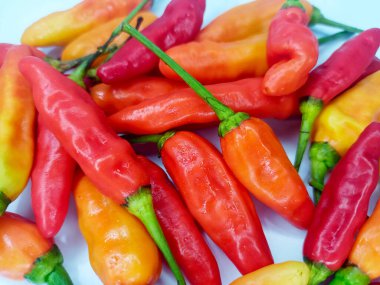 Çeşitli Renkli Biberler, Kırmızı, Sarı ve Turuncu Acı Biberler Beyaz Arkaplanda Birleştirildi