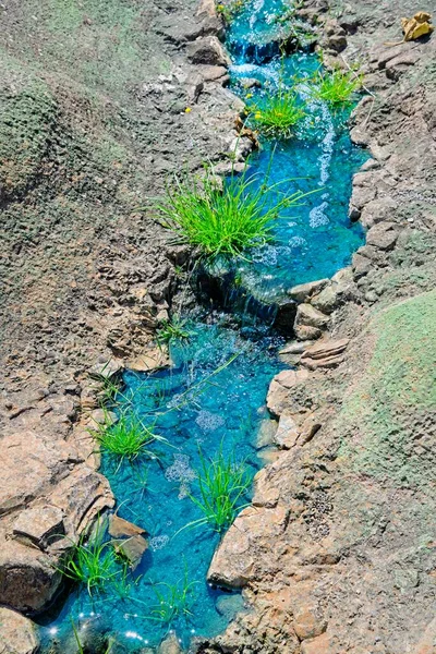 Blauw Geverfd Water Stroomt Kunstmatige Stroom Met Groene Klomp Gras Stockfoto