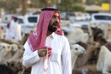Buraydah, Suudi Arabistan, 4 Ağustos 2023: Sudi erkekleri deve pazarında