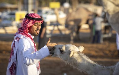 Buraydah, Suudi Arabistan, 4 Ağustos 2023: Sudi develeri ve deve pazarındaki erkekler