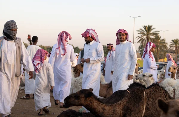 Buraydah, Suudi Arabistan, 4 Ağustos 2023: Sudi erkekleri deve pazarında