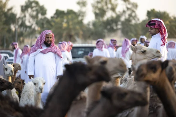 Buraydah Arabia Saudita Agosto 2023 Uomini Soudi Mercato Dei Cammelli — Foto Stock