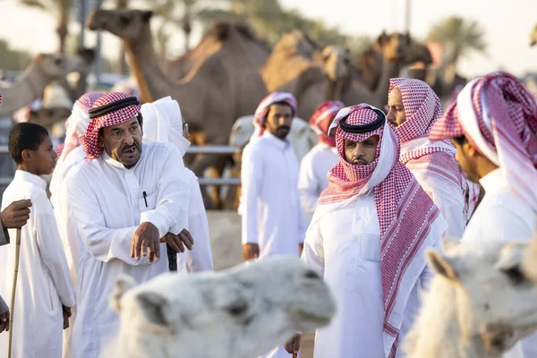 Buraydah Arábia Saudita Agosto 2023 Camelos Soudi Homens Mercado Camelos — Fotografia de Stock