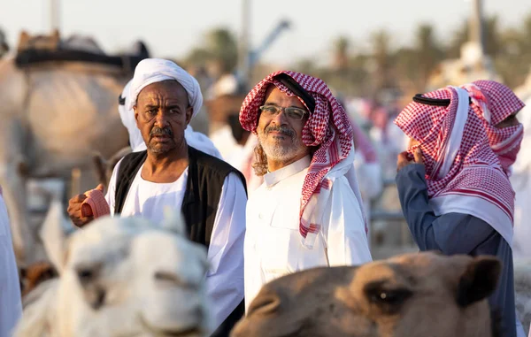 Бурайда Саудівська Аравія Серпня 2023 Соудійські Верблюди Чоловіки Верблюдовому Ринку — стокове фото