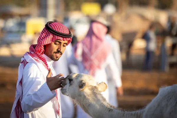 サウジアラビアのブルダ 2023年8月4日 ラクダ市場でラクダと男性 — ストック写真